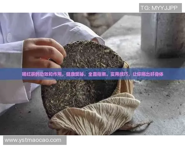 从零起步掌握极限运动心理素质的全面指南与实用技巧