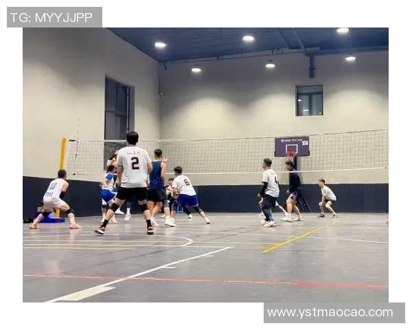 成都排球队的耐力训练与比赛表现分析探讨 成都排球队的耐力训练与比赛表现分析探讨