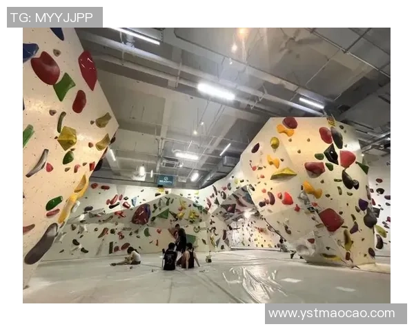 攀岩热潮下的北京攀岩队耐力训练新变革探讨与展望