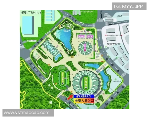 深圳飞盘队与南京飞盘队实力对比赛后分析与总结