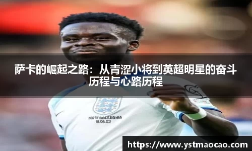 太阳成集团tyc33455cc官网